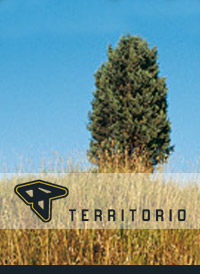 Territorio S.p.A.